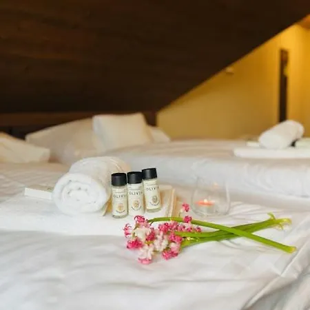 Kupelny Mlyn ゲストハウス ボイニツェ